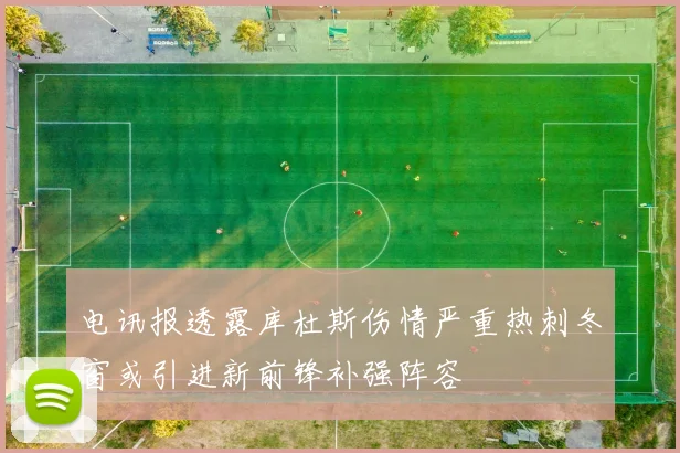 电讯报透露库杜斯伤情严重热刺冬窗或引进新前锋补强阵容